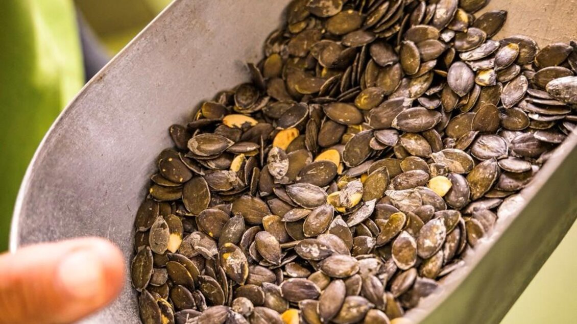 Nach der Ernte werden die Kürbiskerne gründlich gewaschen und schonend getrocknet, um Verunreinigungen zu entfernen und die Frische zu bewahren. | © Österreich Werbung/ Hans de Kort