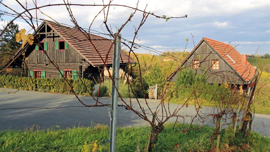 Zwei charmante Holzhäuser stehen zwischen Weinreben auf einem malerischen Grundstück. Im Hintergrund ist eine grüne Landschaft unter einem blauen Himmel zu sehen. | © Pongratz