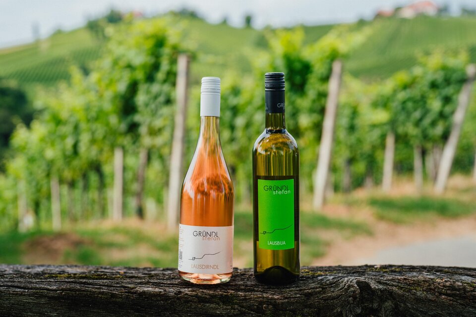 Weingut Gründl - Labuttendorf - Impression #1