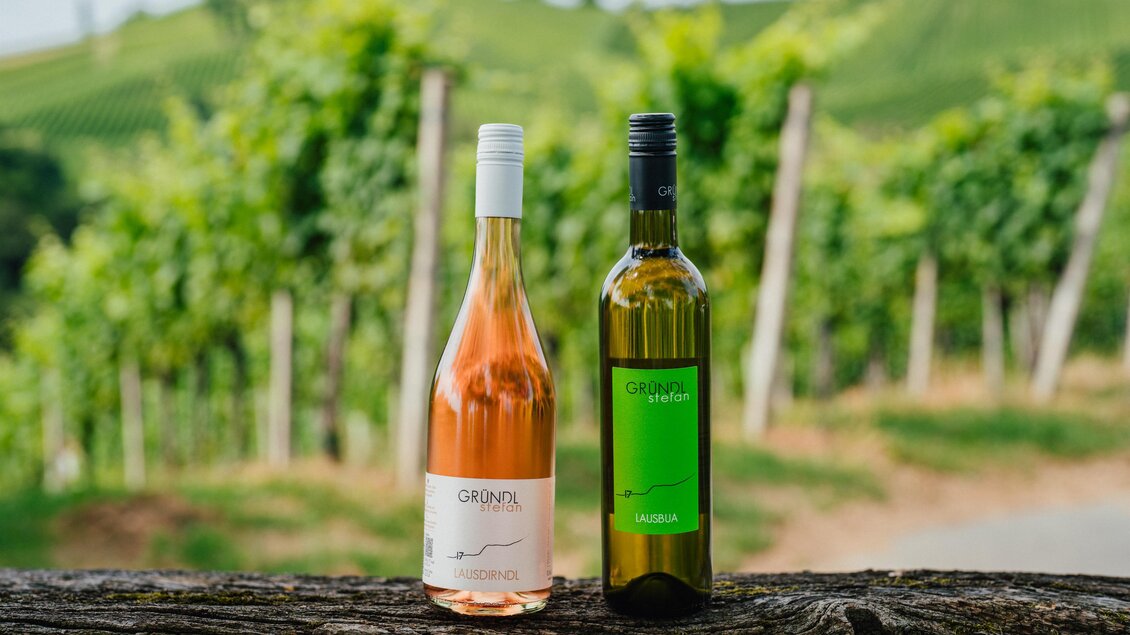 Zwei Weinflaschen stehen auf einem Holzstamm vor grünen Weinbergen. Eine Flasche ist rosé und die andere grün.