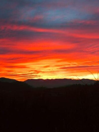 Weingut Gradisnik Sonnenuntergang | © Weingut Gradisnik l Franz Gradisnik