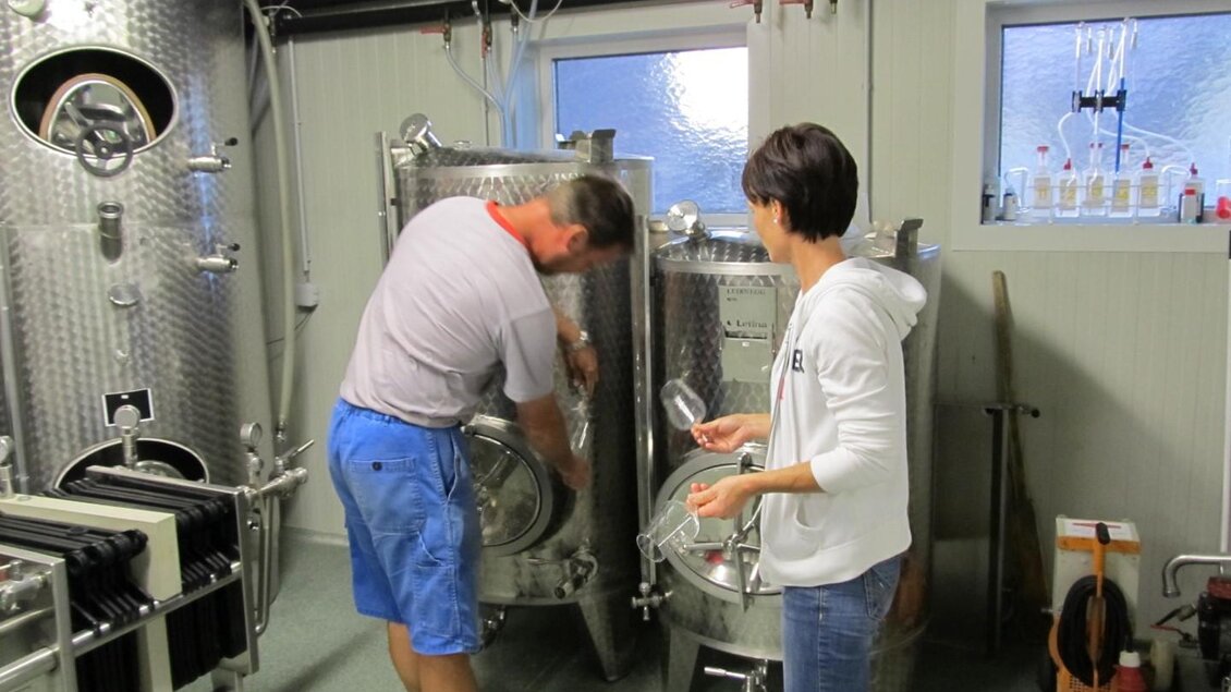 Weingut Gruber - Impressionen #2.3