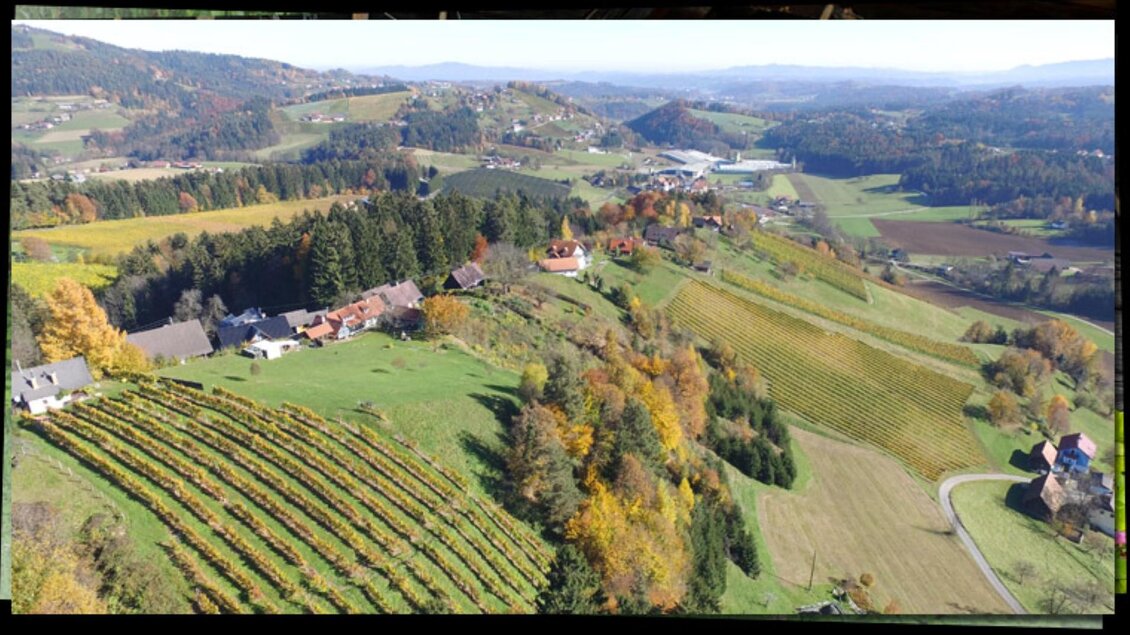 Eine malerische Landschaft mit Weinbergen und sanften Hügeln. Bunte Bäume und ein klarer Himmel verleihen dem Bild eine idyllische Atmosphäre. | © Weingut Haubensima