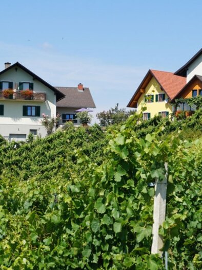 Weingut | © Weingut Hernach vlg. Roschitz l Sandra Hartl