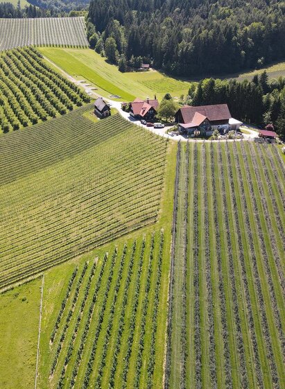 Jöbstl Stammhaus von Oben | © Jöbstl Stammhaus | Familie Jöbstl | © Jöbstl Stammhaus