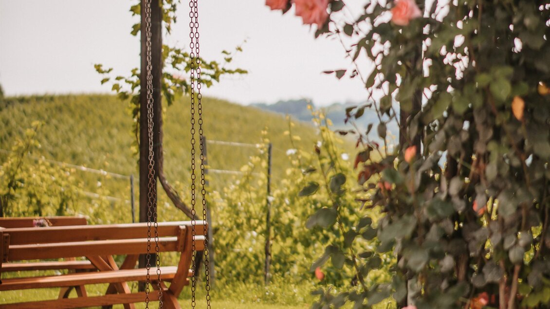 Eine gemütliche Bank unter einem schattigen Pavillon, umgeben von blühenden Rosen. Im Hintergrund sind sanfte Hügel und Weinreben zu sehen. | © MichaelaLorber/WeingutJöbstl