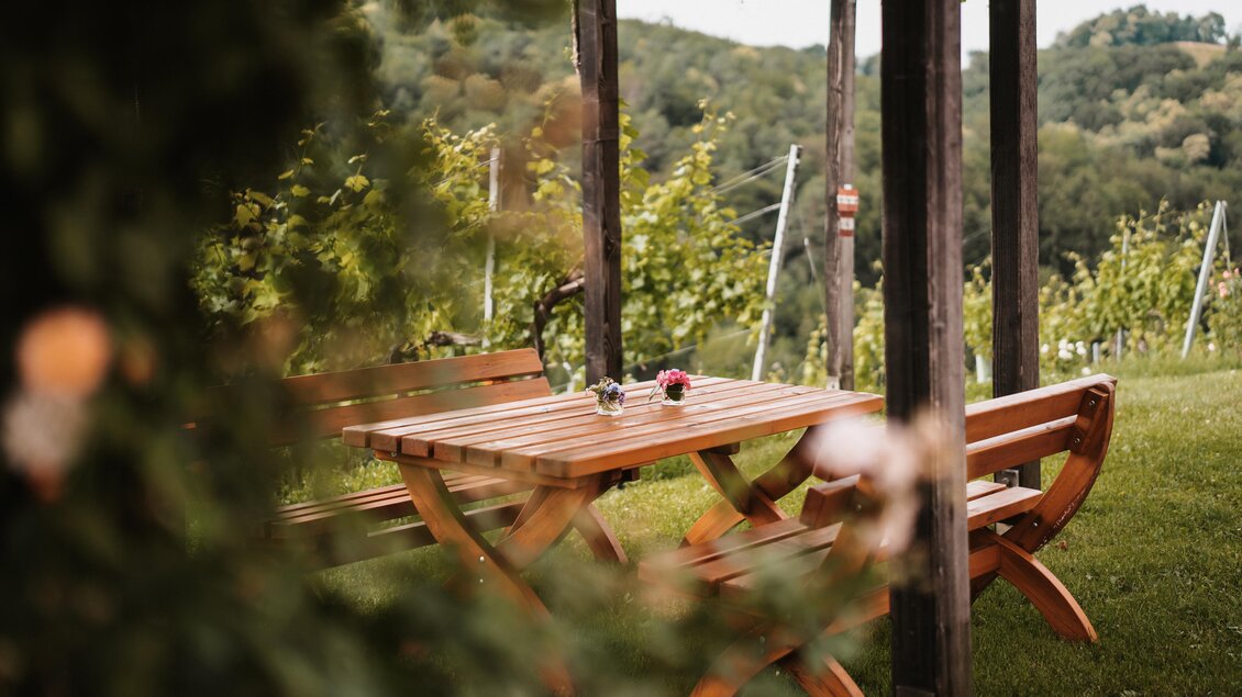 Ein Holzstuhl und ein Tisch stehen unter einem Pavillon inmitten von Weinbergen. Sanfte Hügel umgeben die gemütliche Sitzgelegenheit. | © MichaelaLorber/WeingutJöbstl