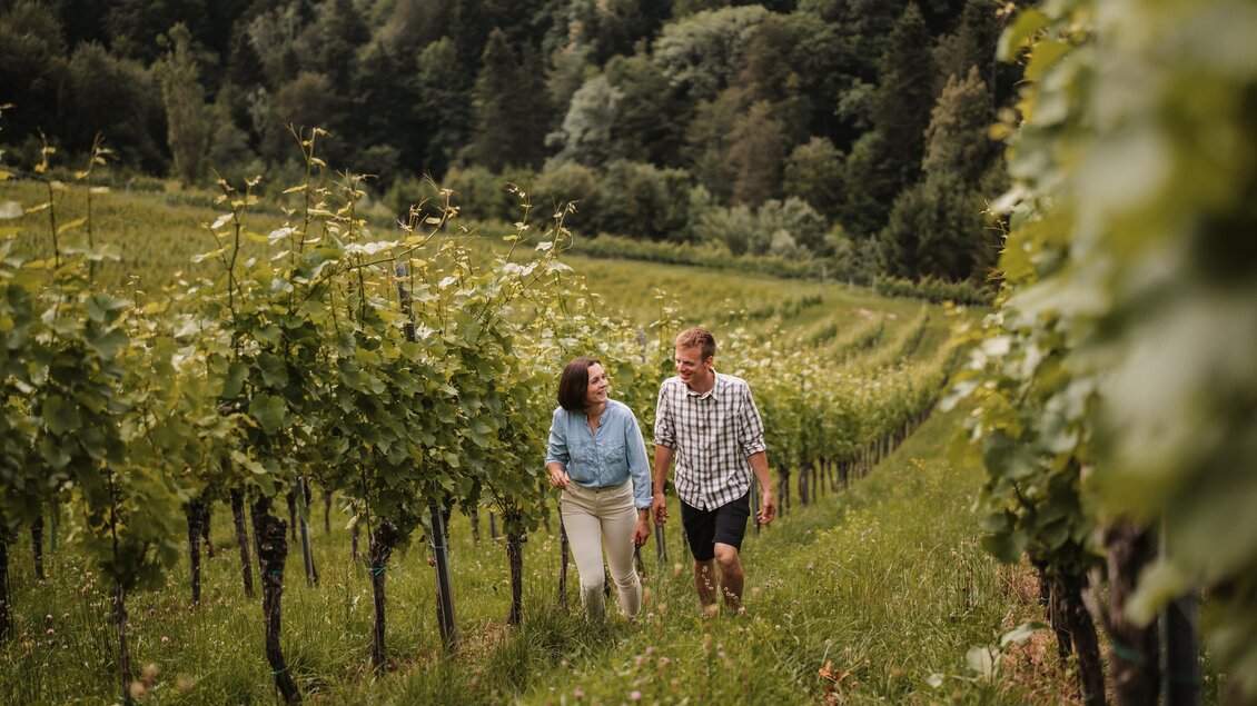 Ein Paar spaziert durch einen Weinberg mit grünen Reben. Im Hintergrund sind sanfte Hügel und Bäume zu sehen. | © MichaelaLorber/WeingutJöbstl