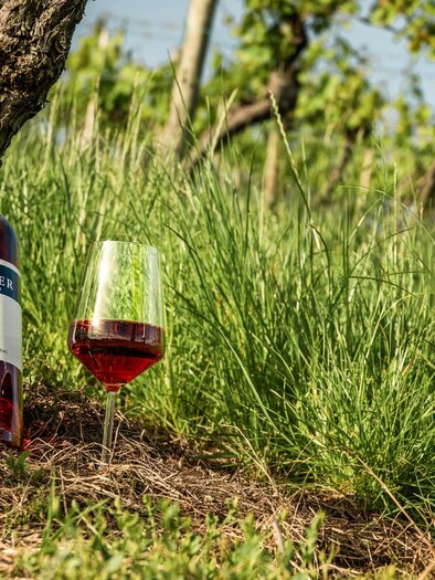 Weingut Johann Reicher_5 | © (c) Region Graz - Mias Photoart