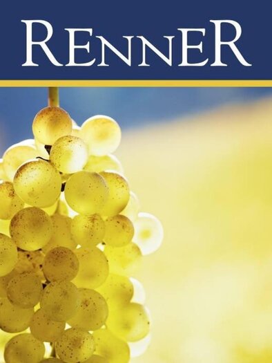Weingut Renner | © Weingut Karl Renner l Karl Renner