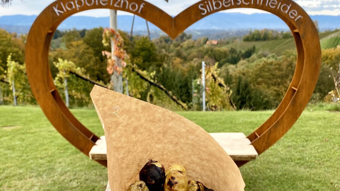 Eine Hand hält eine Tüte mit köstlichen Nüssen vor einer herzförmigen Holzdekoration mit dem Text „Klapotezlhof Silberschneider“. Im Hintergrund sieht man eine grüne Landschaft und einen bewölkten Himmel.