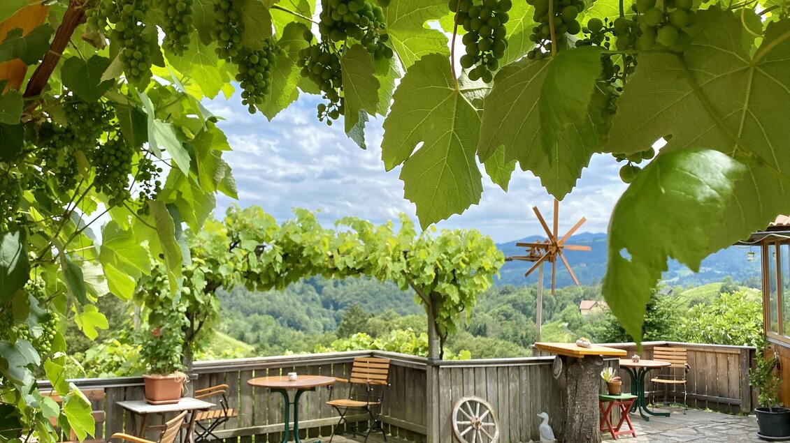 Ein einladender Garten mit Weinreben und einer schönen Aussicht. Tische und Stühle laden zum Verweilen ein.