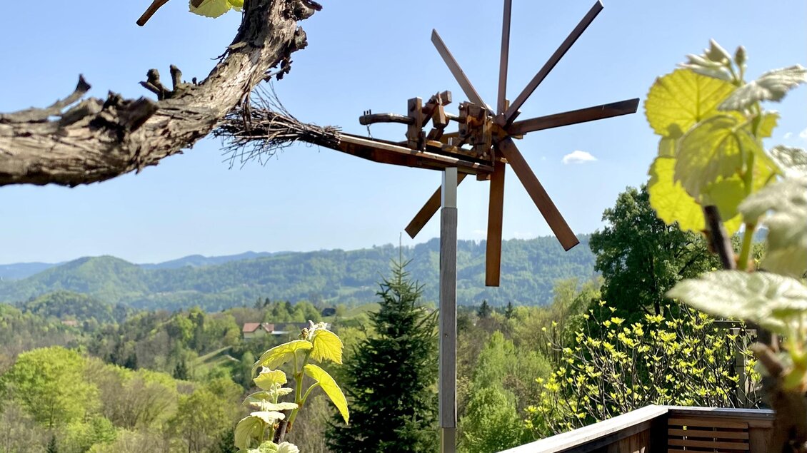 Eine malerische Aussicht mit grünen Hügeln und einem Holzdeck. Im Vordergrund sieht man eine Weinrebe und ein Windrad.
