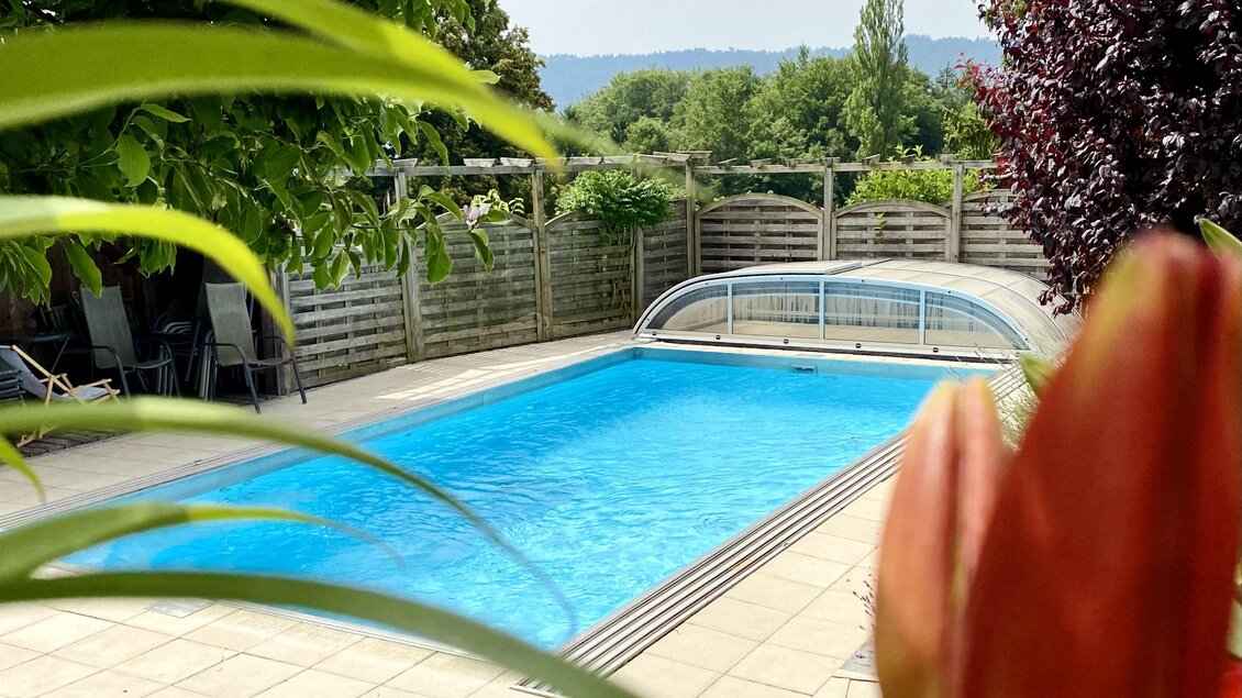 Ein Schwimmbad im Garten, umgeben von grünen Pflanzen und bunten Blumen. Der Himmel ist leicht bewölkt und das Ambiente ist ruhig und einladend.