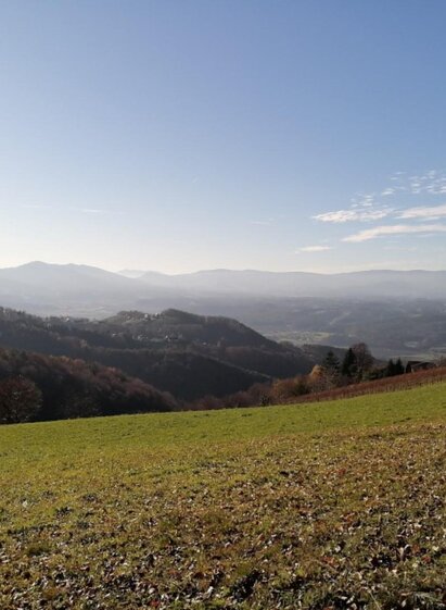 Buschenschank Klopfer-Glaserkeller | Weingut Klopfer | © Weingut Klopfer