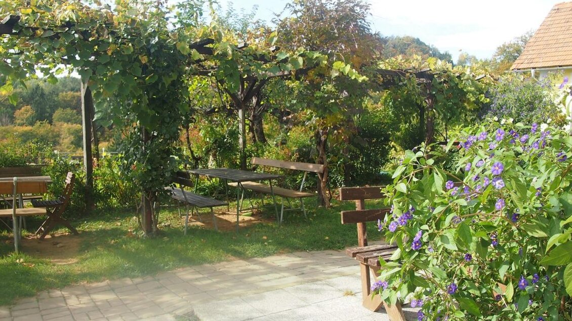 Ein gemütlicher Garten mit Sitzecken und grünen Pflanzen. Der Raum ist von Weinreben umgeben und schafft eine einladende Atmosphäre. | © Weingut Koller