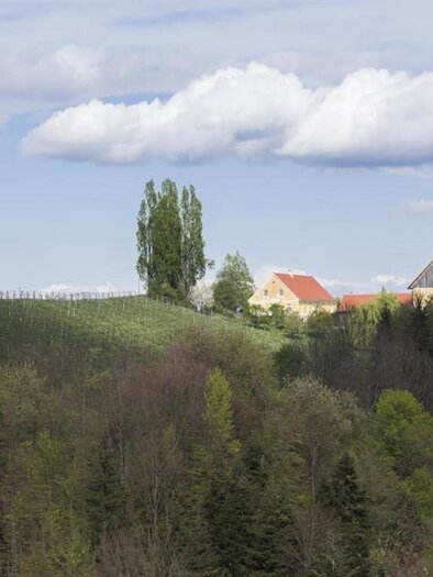 Weingut Muster | © Weingut Muster l Maria & Sepp Muster