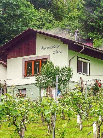 Buschenschank Moser | © Willi Moser