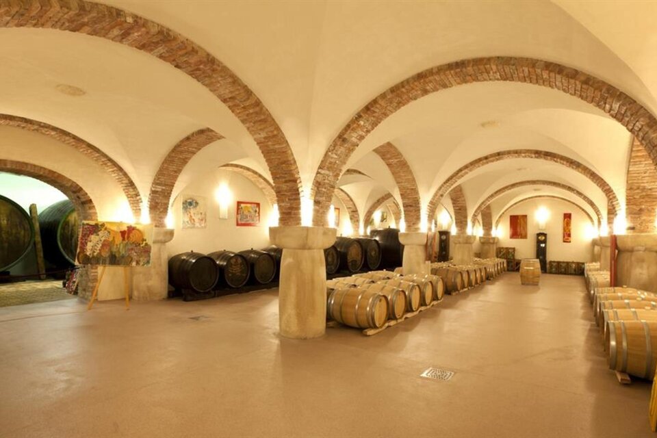 Weingut Muster Poschgan - Impression #1 | © Weingut Muster l Angela & Rudi Muster