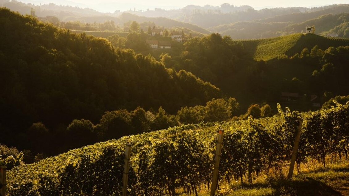NeueHeimat Landschaft | © Martin Stöbich