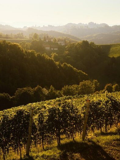 NeueHeimat Landschaft | © Martin Stöbich