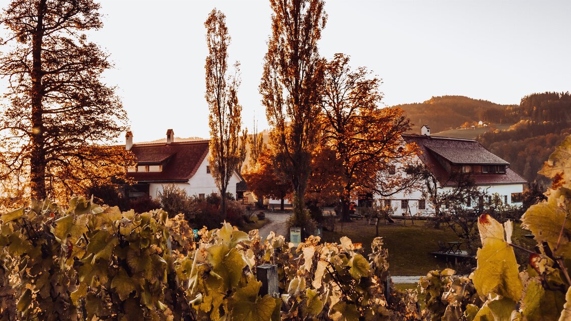 85 - FC5E4BE7-9717-409F-986E-FA53D3B516D3