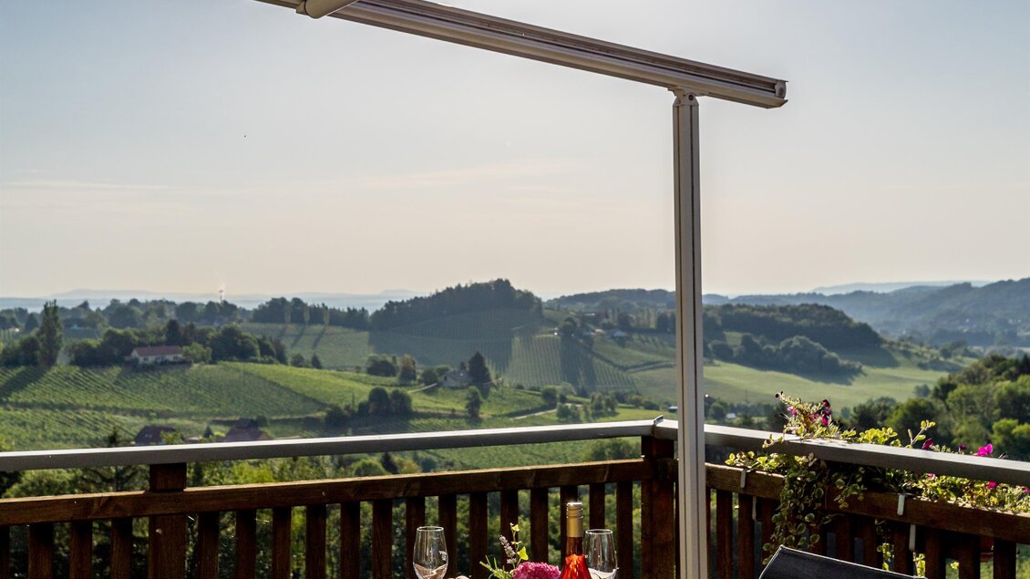 _O2A7490 | © Weingut Birnstingl