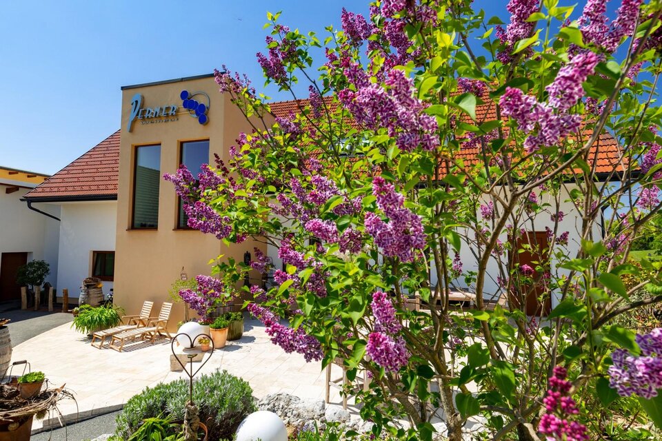 Weingut Perner - Impression #1