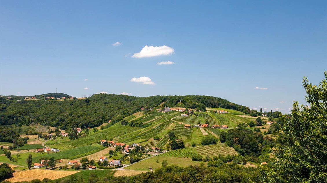 Weingut Pfeifer_Weitblick | © Weinhof Pfeifer