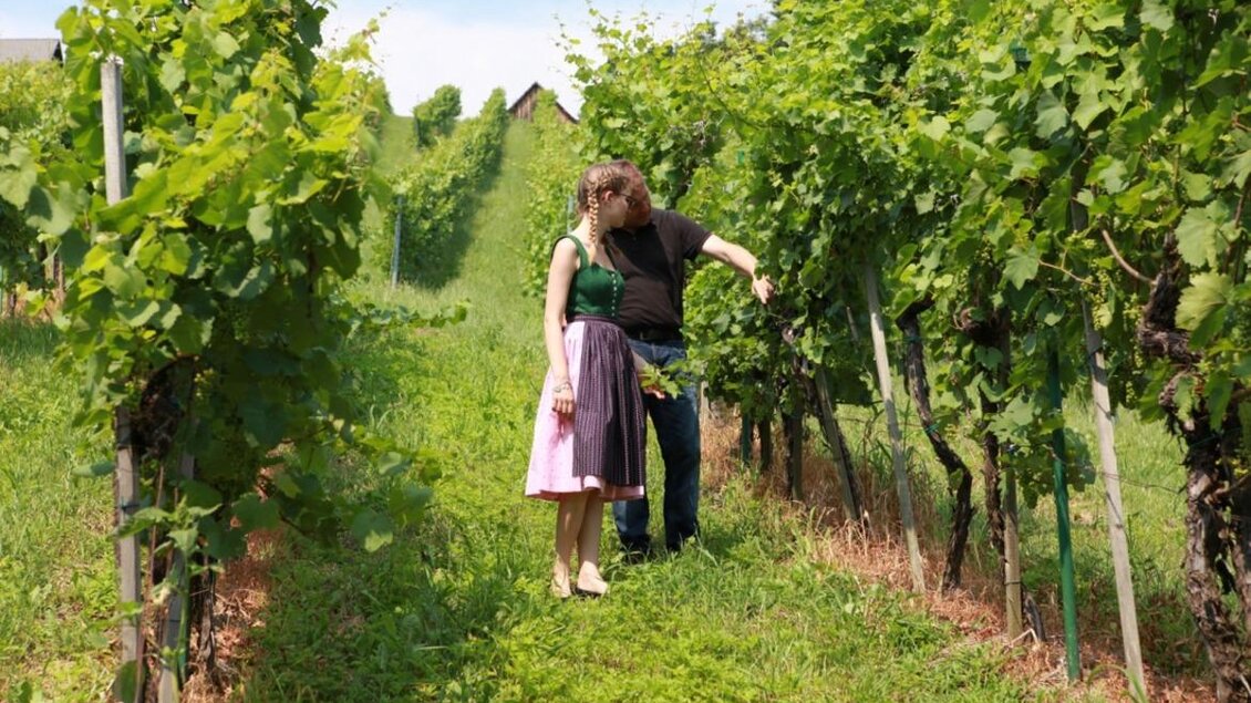 Weingut Resch vlg. Longus - Impressionen #2.2