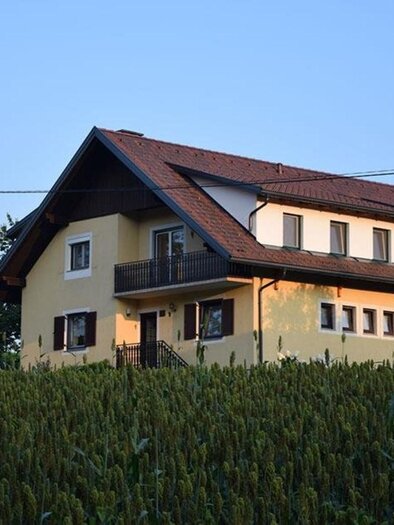 Weingut & Buschenschank Riedl | © Weingut Riedl