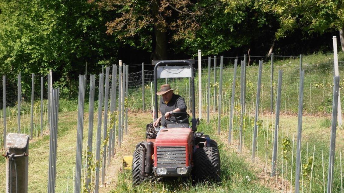 Erstes Mulchem im Mai | © Weingut Rupp