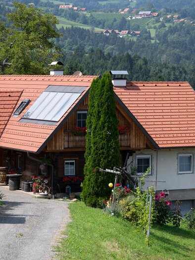 Weinbau Schriebl | © Schilcherland Steiermark