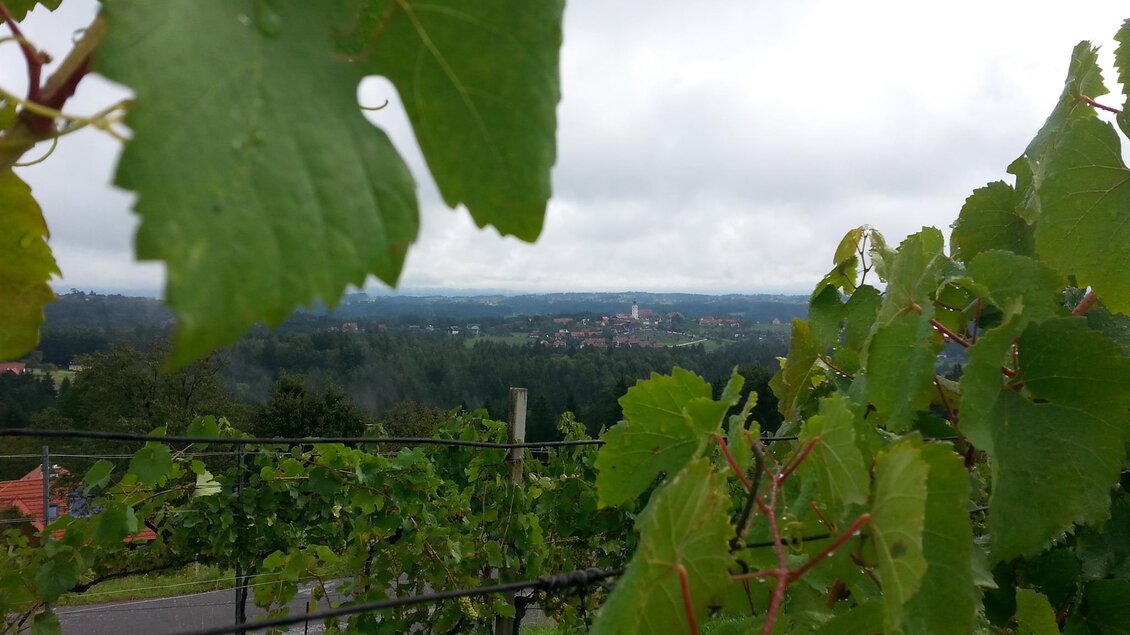 Blick nach St. Stefan/Stainz | © Weinbau Schriebl