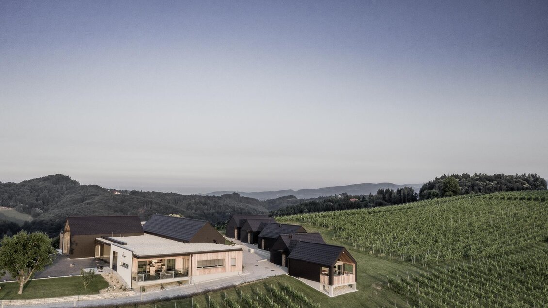 Ein modernes Gebäude inmitten von Weinreben. Sanfte Hügel und ein klarer Himmel ergänzen die malerische Landschaft. | © @pixelmaker | Weingut Skringer