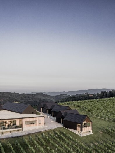 A modern building amidst grapevines. Gentle hills and a clear sky complement the picturesque landscape. | © @pixelmaker | Weingut Skringer