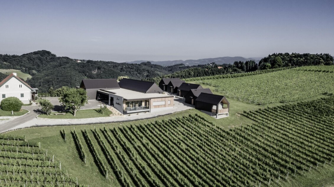 Eine moderne Weinbauanlage umgeben von Weinbergen. Die Gebäude sind harmonisch in die Landschaft integriert. | © @pixelmaker | Weingut Skringer