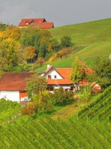 Skringer Ranz (1) | © Josef Skringer | Weingut Skringer | Josef Skringer | © Josef Skringer | Weingut Skringer