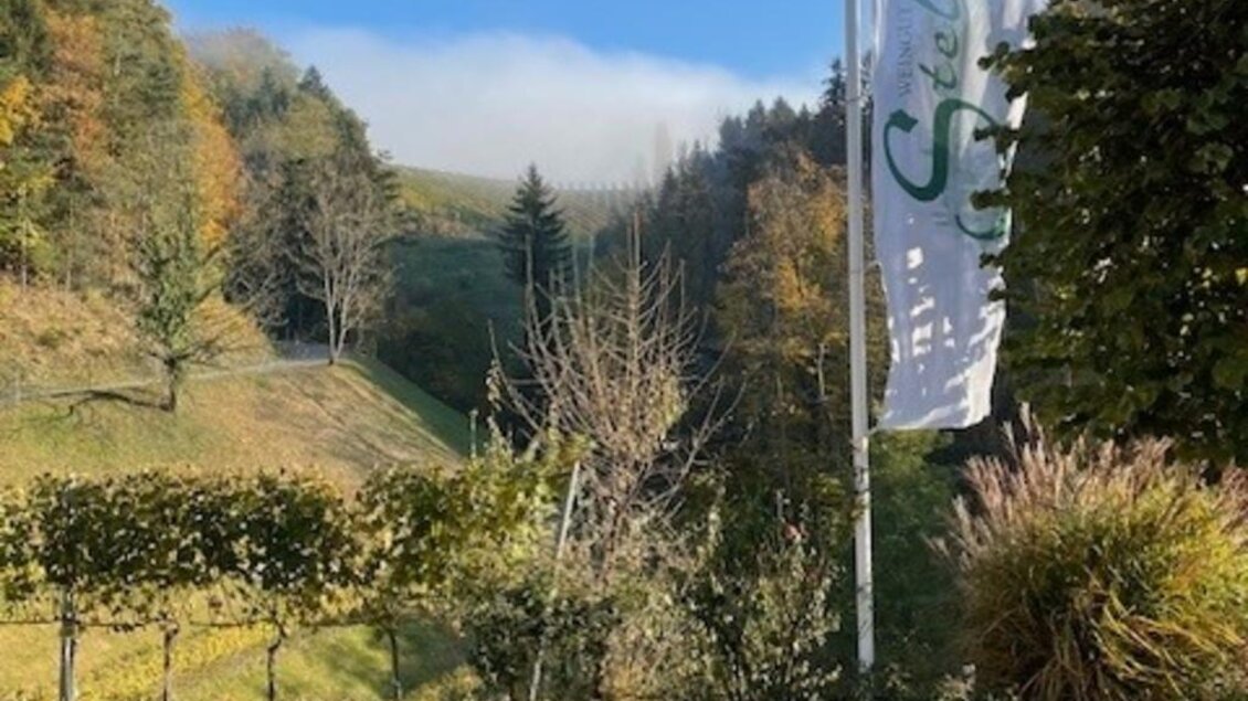 Ein schöner Aussichtspunkt mit einem Weg, der zu einer grünen Landschaft führt. Im Hintergrund sind Bäume und leicht bewölkter Himmel zu sehen. | © Weingut Stelzl