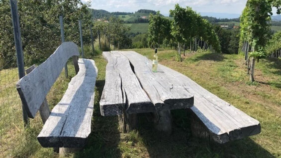 Ein rustikaler Holztisch mit Bänken steht in einer grünen Weinlandschaft. Im Hintergrund sind Weinreben und ein blauer Himmel zu sehen. | © Weingut Stelzl