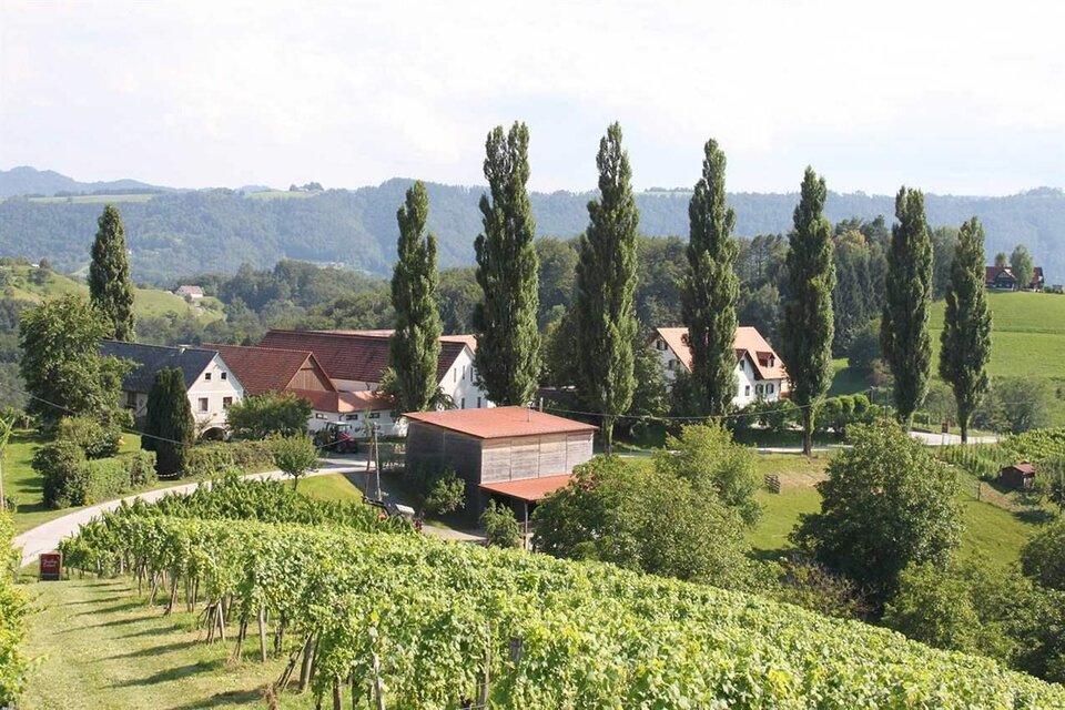 Weingut Strablegg-Leitner - Impression #1 | © Weingut Strablegg-Leitner