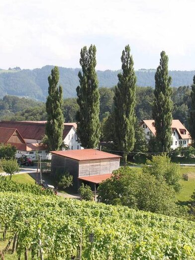 Strablegg | © Weingut Strablegg-Leitner | Weingut Strablegg-Leitner | © Weingut Strablegg-Leitner