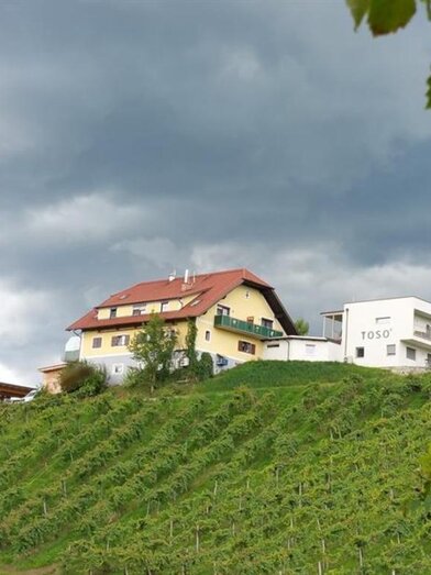 Weingut Toso Hausansicht | © Weingut Toso l Stephan & Matthias Krainer | Stephan & Matthias Krainer | © Weingut Toso l Stephan & Matthias Krainer