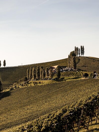 Tschermonegg-Buschenschank