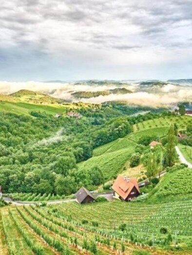 Sausal | © Weingut Wohlmuth