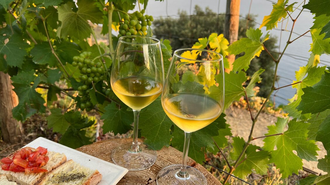 Ein romantisches Abendessen im Freien mit zwei Gläsern Weißwein und einer Auswahl an köstlichen Snacks. Im Hintergrund sind grüne Weintrauben und eine malerische Aussicht zu sehen. | © siret-unsplash