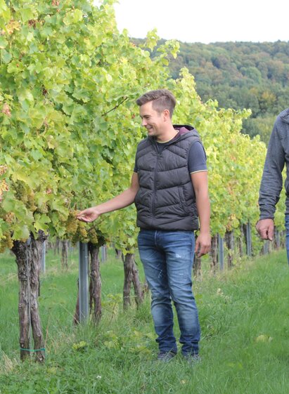 Weinhof Fauster | Familie Fauster | © Weinhof Fauster