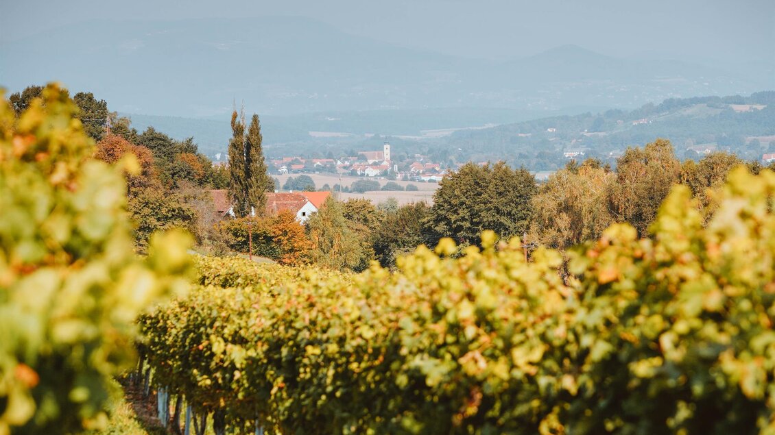 Eine Landschaft mit Weinreben und einem kleinen Ort im Hintergrund. Der Himmel ist leicht bewölkt und die Umgebung wirkt ruhig und malerisch. | © Bergmann