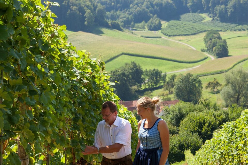 Weinhof Konrad - Impression #1 | © Weinhof Konrad