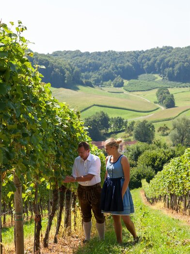 Work in den vineyard | © Weinhof Konrad | Ulrike Korntheuer | © Weinhof Konrad